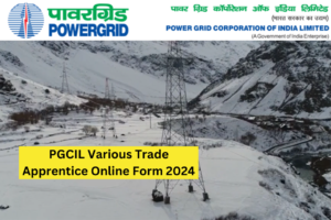 PGCIL Apprentices Recruitment 2024