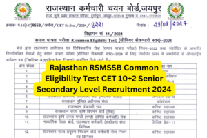 RSMSSB CET 12th Level Recruitment 2024